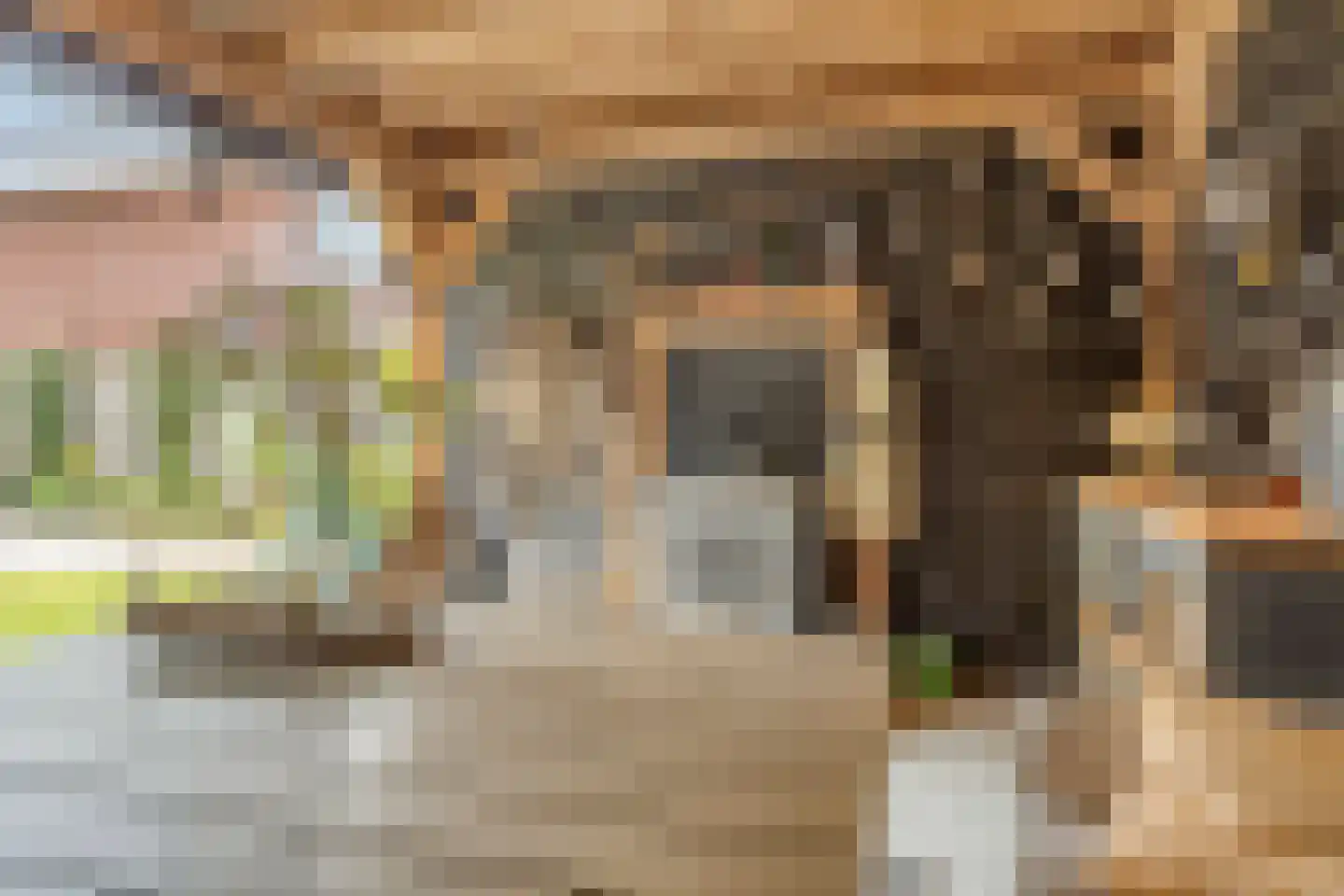 Niels Bohrhage 2 D Emmeloord thumbnail 24