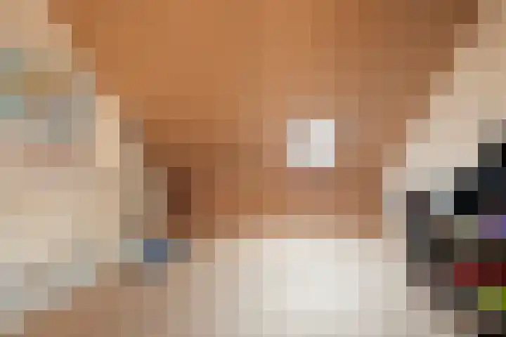 Niels Bohrhage 40 Emmeloord thumbnail 23