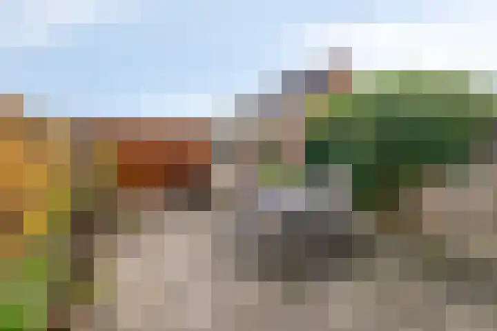 Niels Bohrhage 40 Emmeloord thumbnail 24