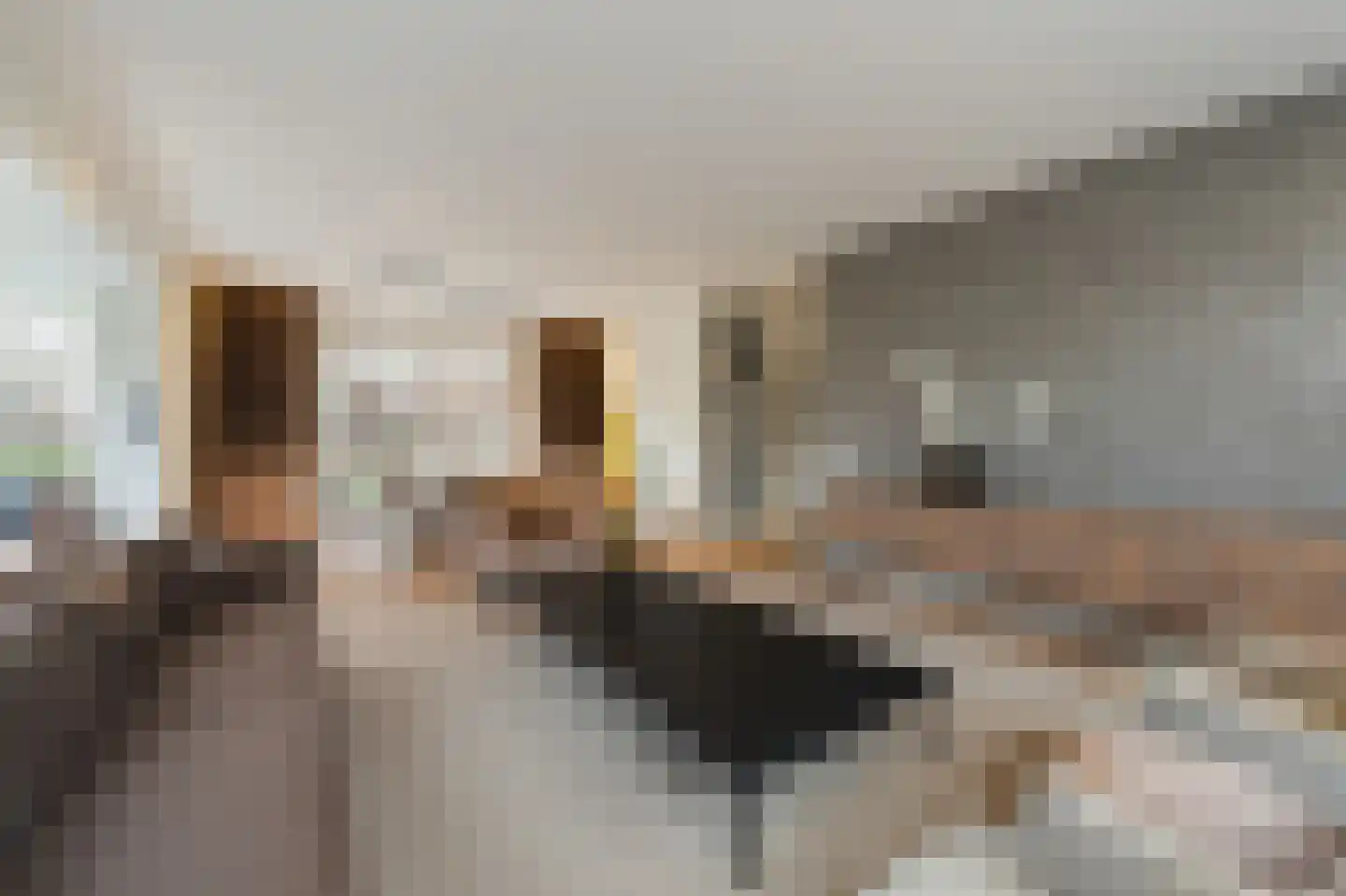 Niels Bohrhage 5 Emmeloord thumbnail 16