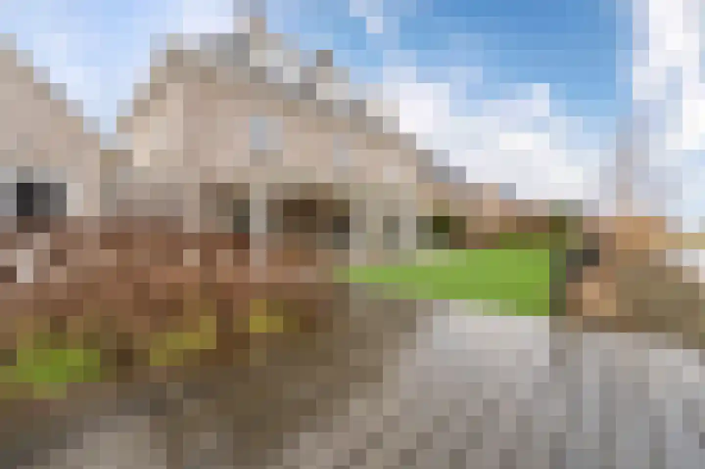Niels Bohrhage 5 Emmeloord thumbnail 71