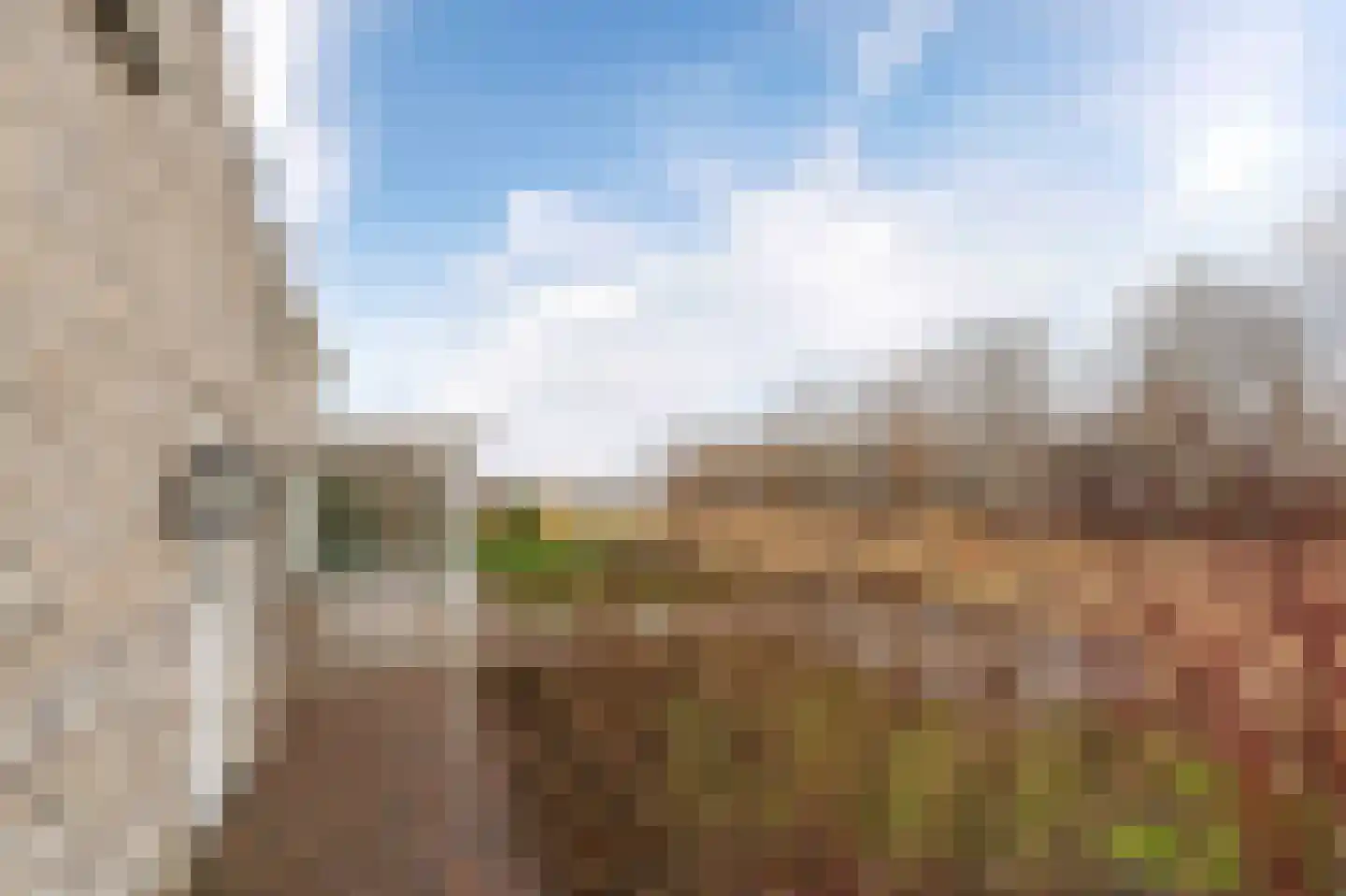 Niels Bohrhage 5 Emmeloord thumbnail 75