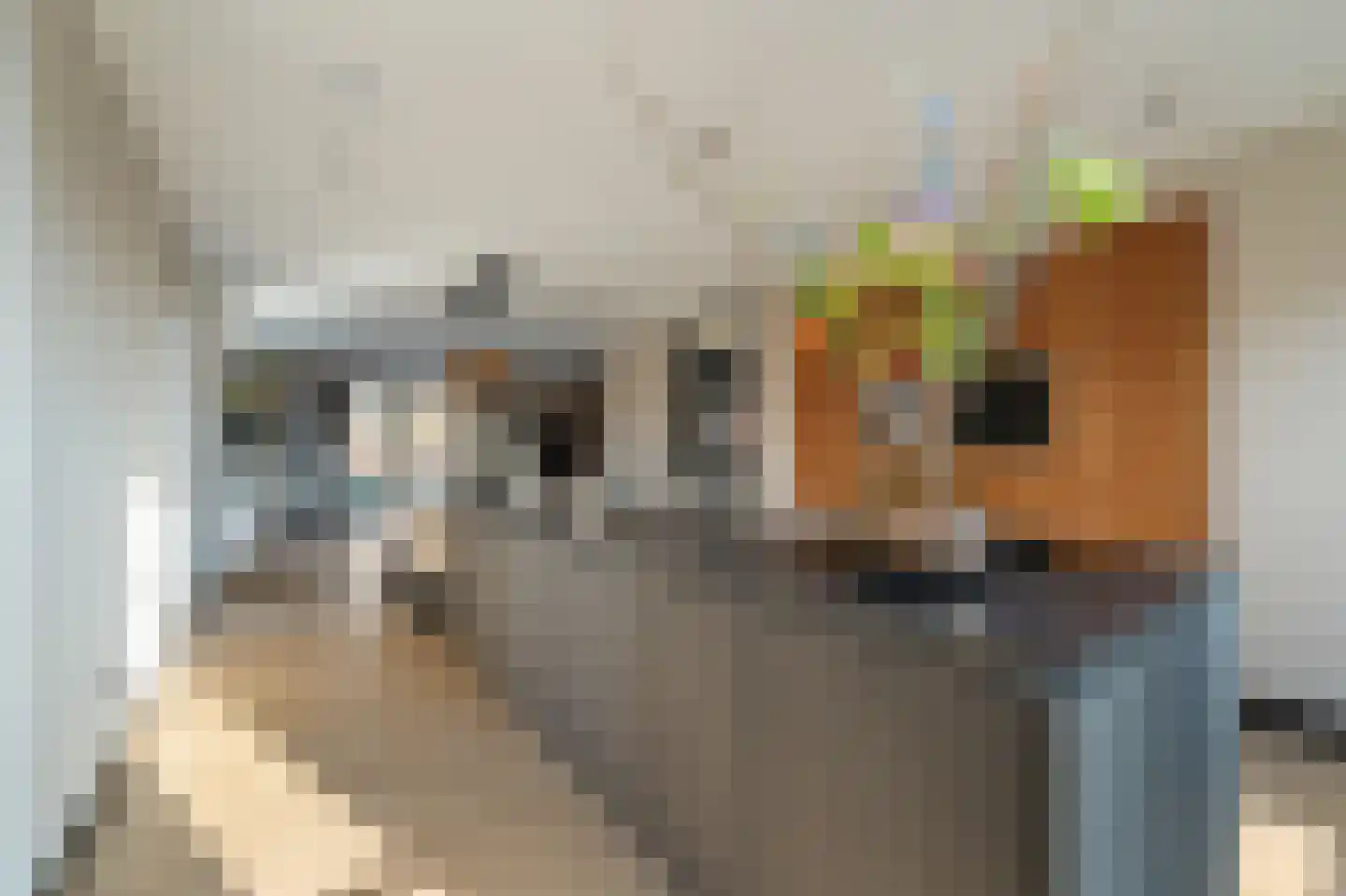 Niels Bohrhage 7 Emmeloord thumbnail 23