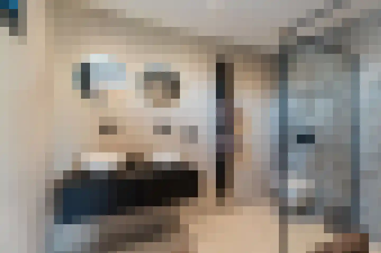 Niels Bohrhage 7 Emmeloord thumbnail 31