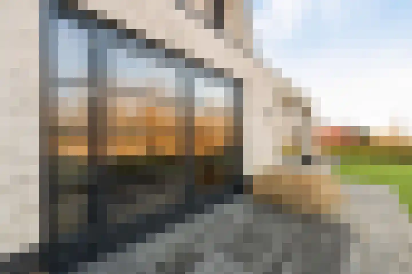 Niels Bohrhage 7 Emmeloord thumbnail 35