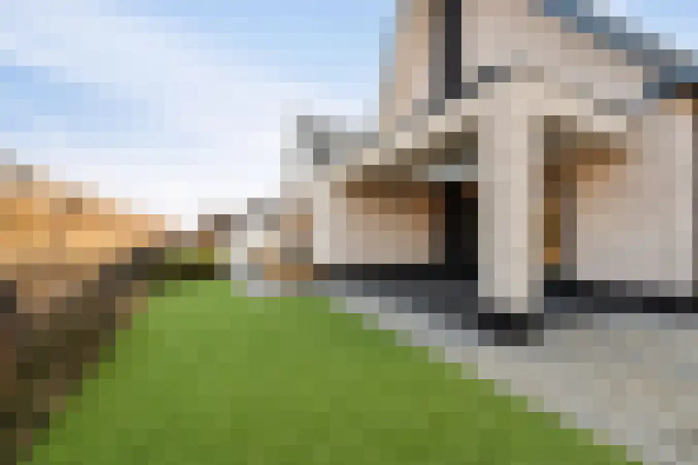 Niels Bohrhage 7 Emmeloord thumbnail 38