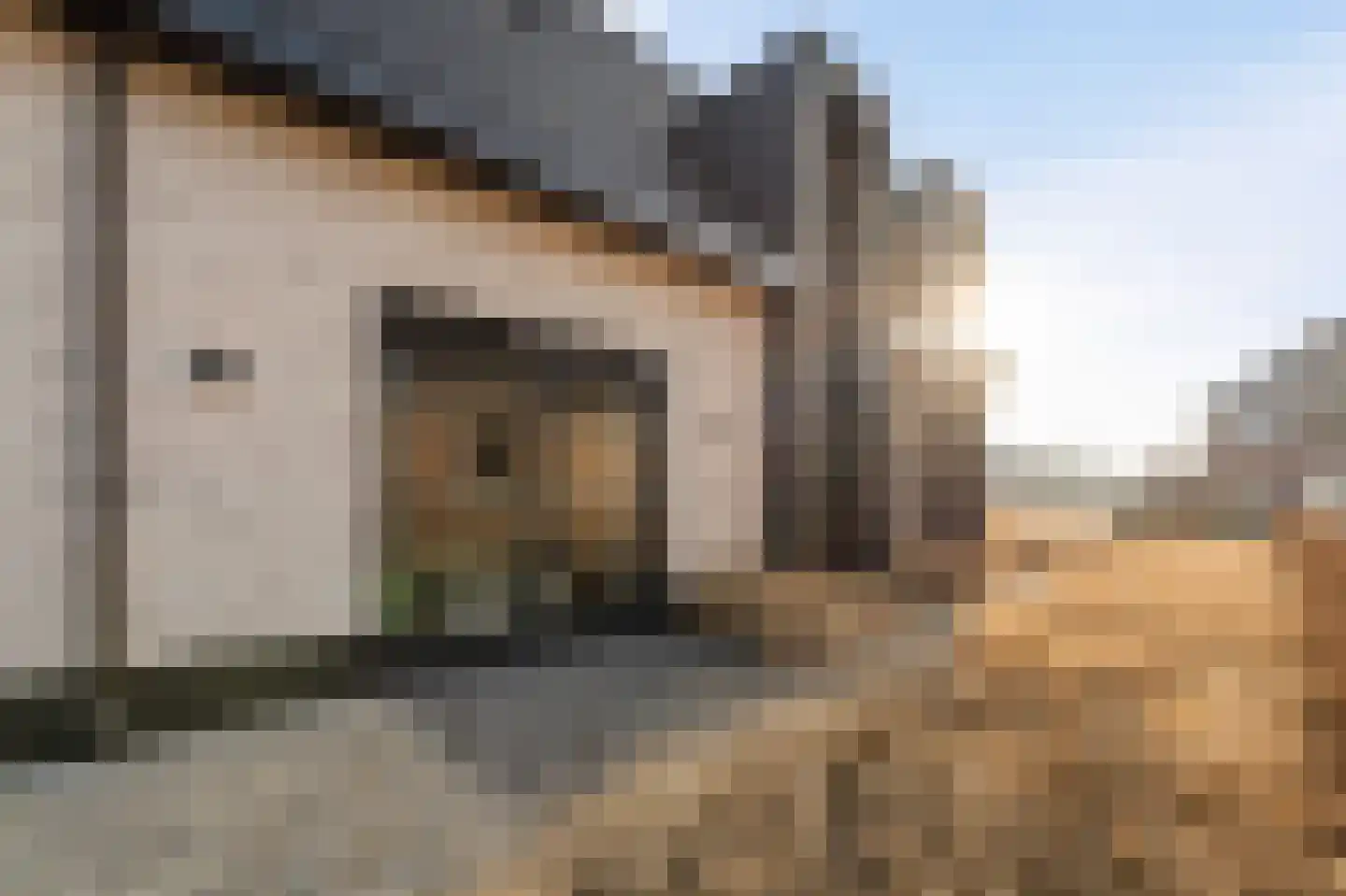 Niels Bohrhage 7 Emmeloord thumbnail 39