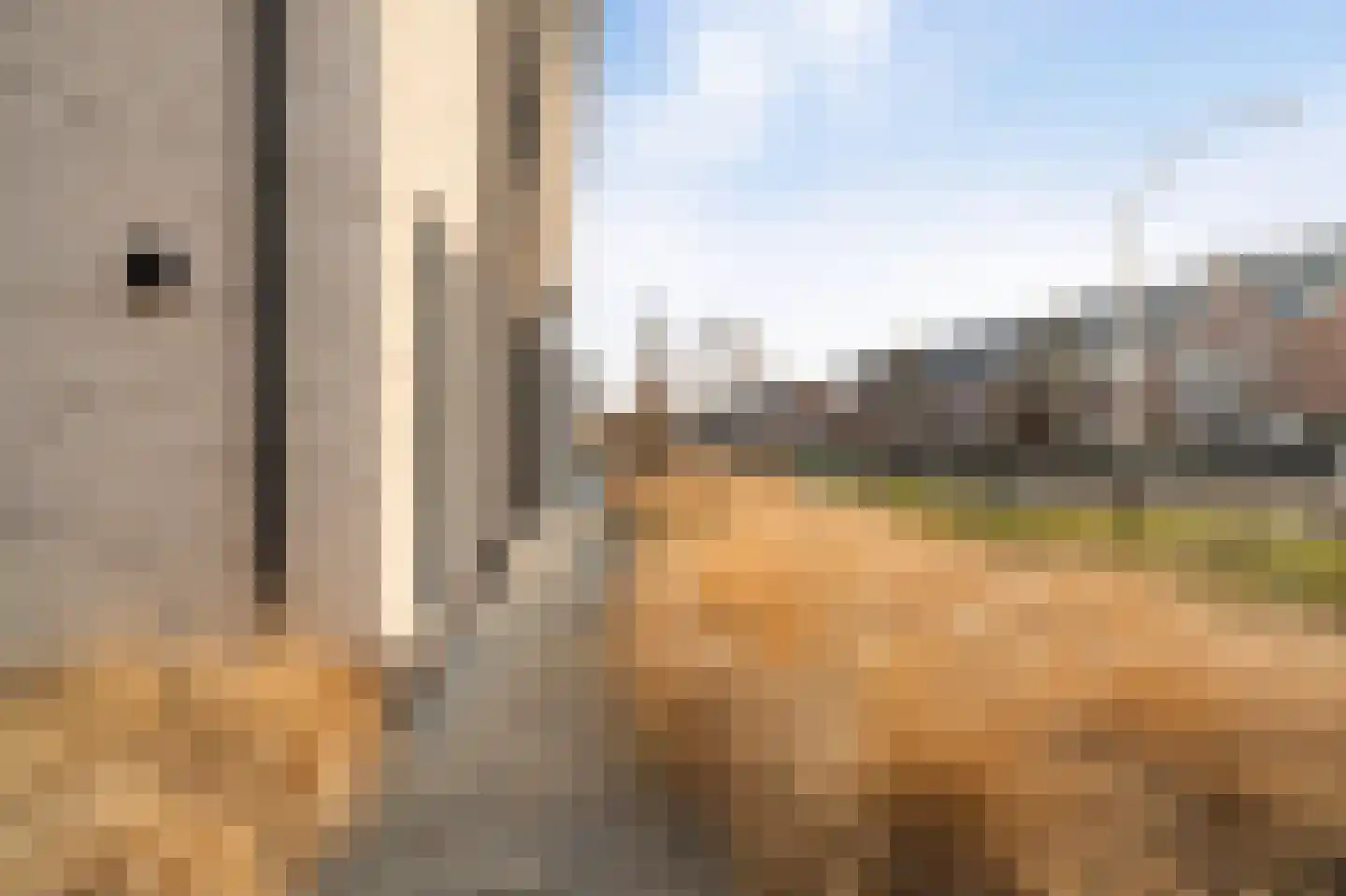 Niels Bohrhage 7 Emmeloord thumbnail 41