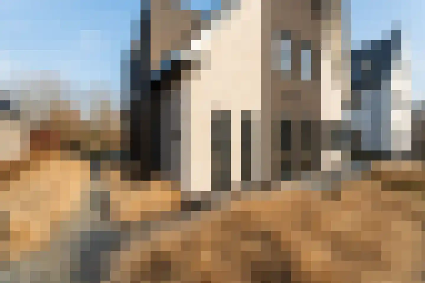 Niels Bohrhage 7 Emmeloord thumbnail 42