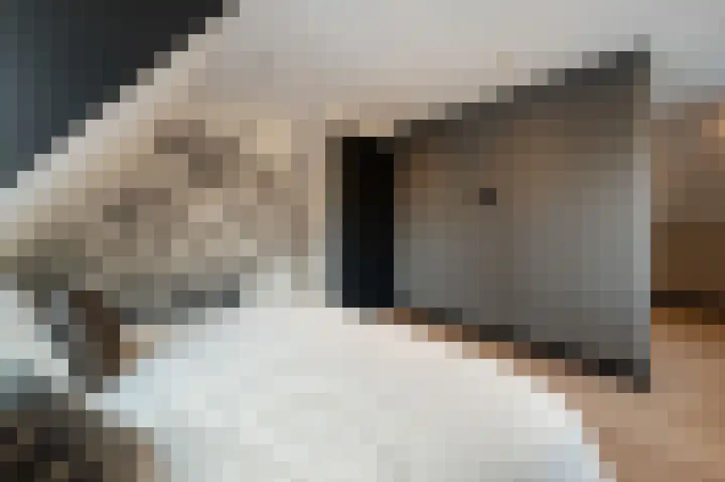 Niels Bohrhage 7 Emmeloord thumbnail 59