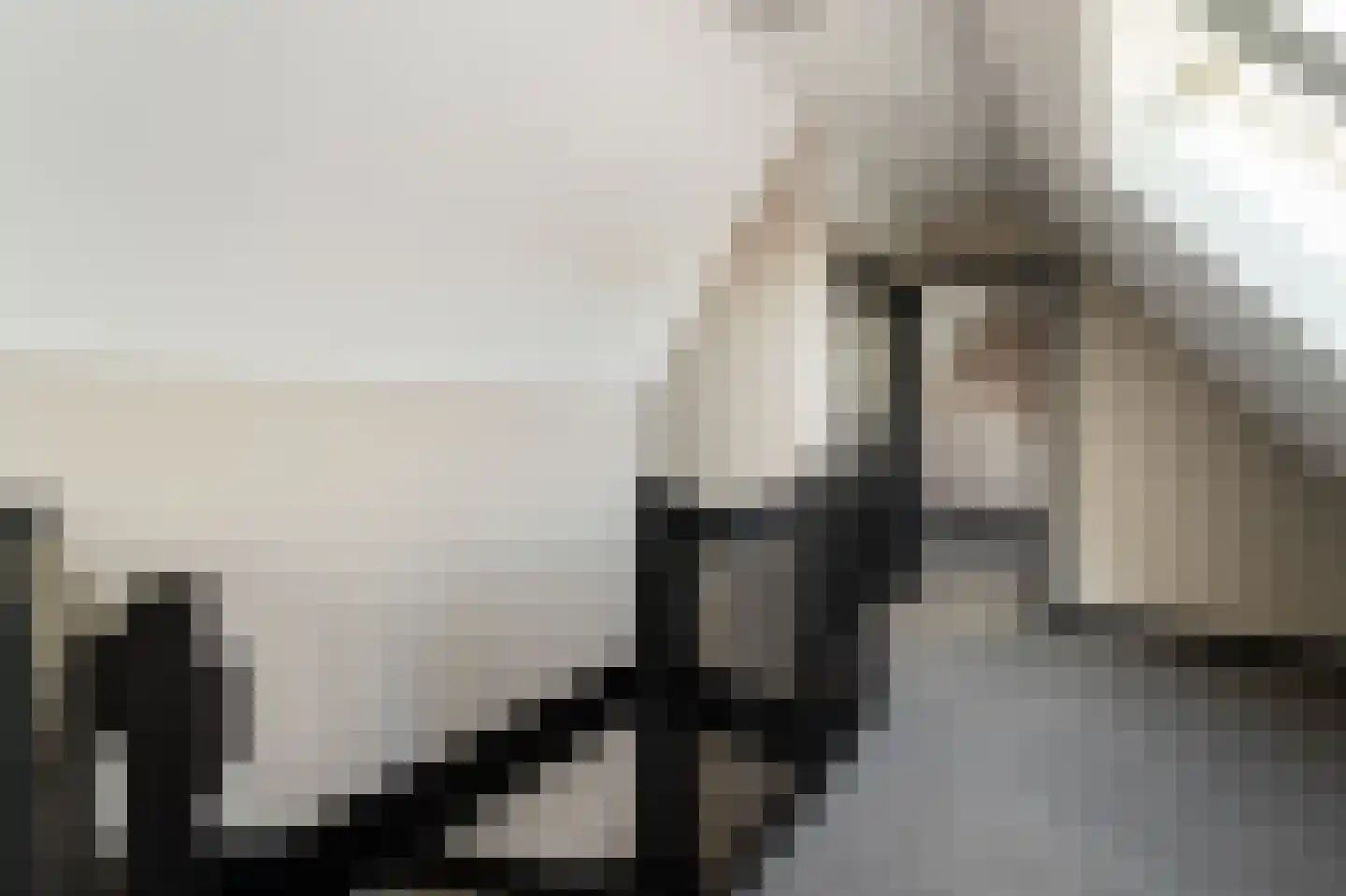 Niels Bohrhage 7 Emmeloord thumbnail 63
