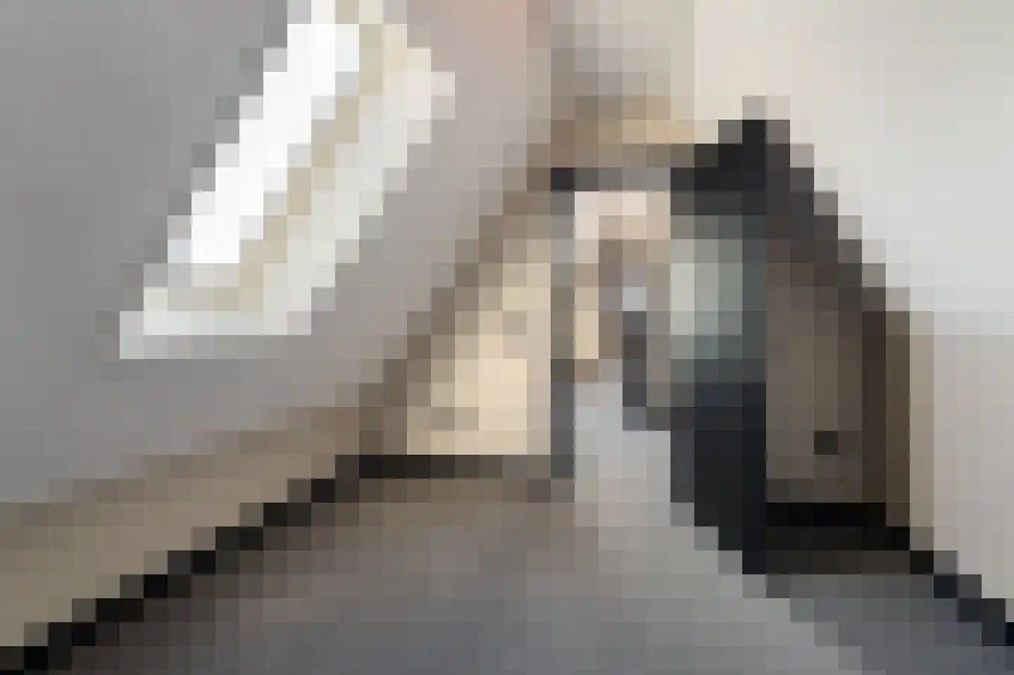 Niels Bohrhage 7 Emmeloord thumbnail 65