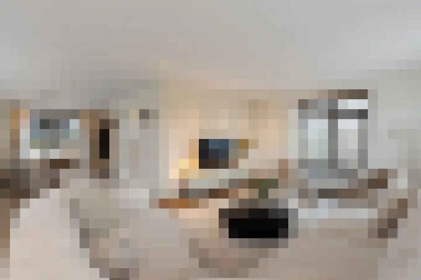 Niels Bohrhage 9 Emmeloord thumbnail 17