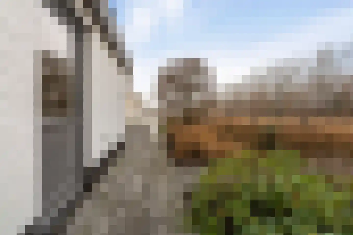 Niels Bohrhage 9 Emmeloord thumbnail 32
