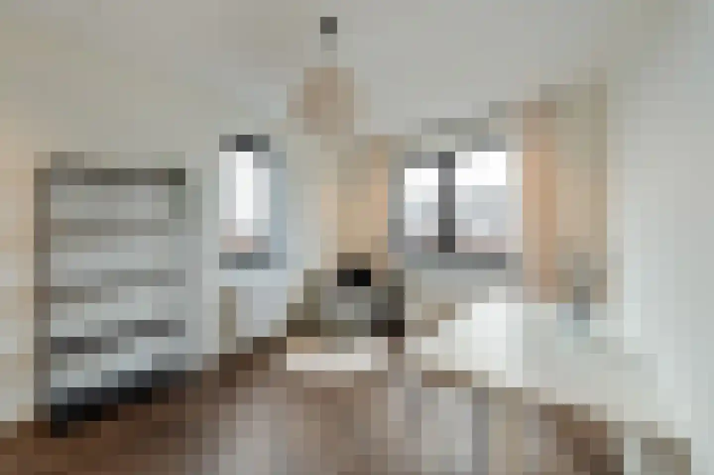 Niels Bohrhage 9 Emmeloord thumbnail 45