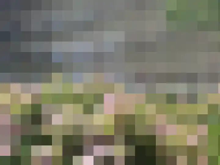 Niels Bohrplaats 436 Rotterdam thumbnail 13