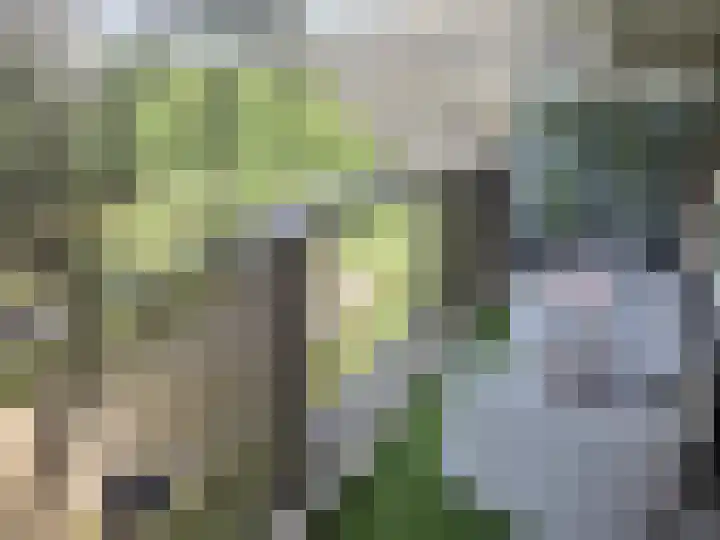 Niels Bohrplaats 436 Rotterdam thumbnail 5