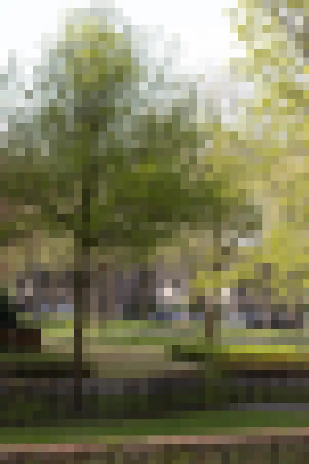 Niels Bohrplaats 664 Rotterdam thumbnail 27