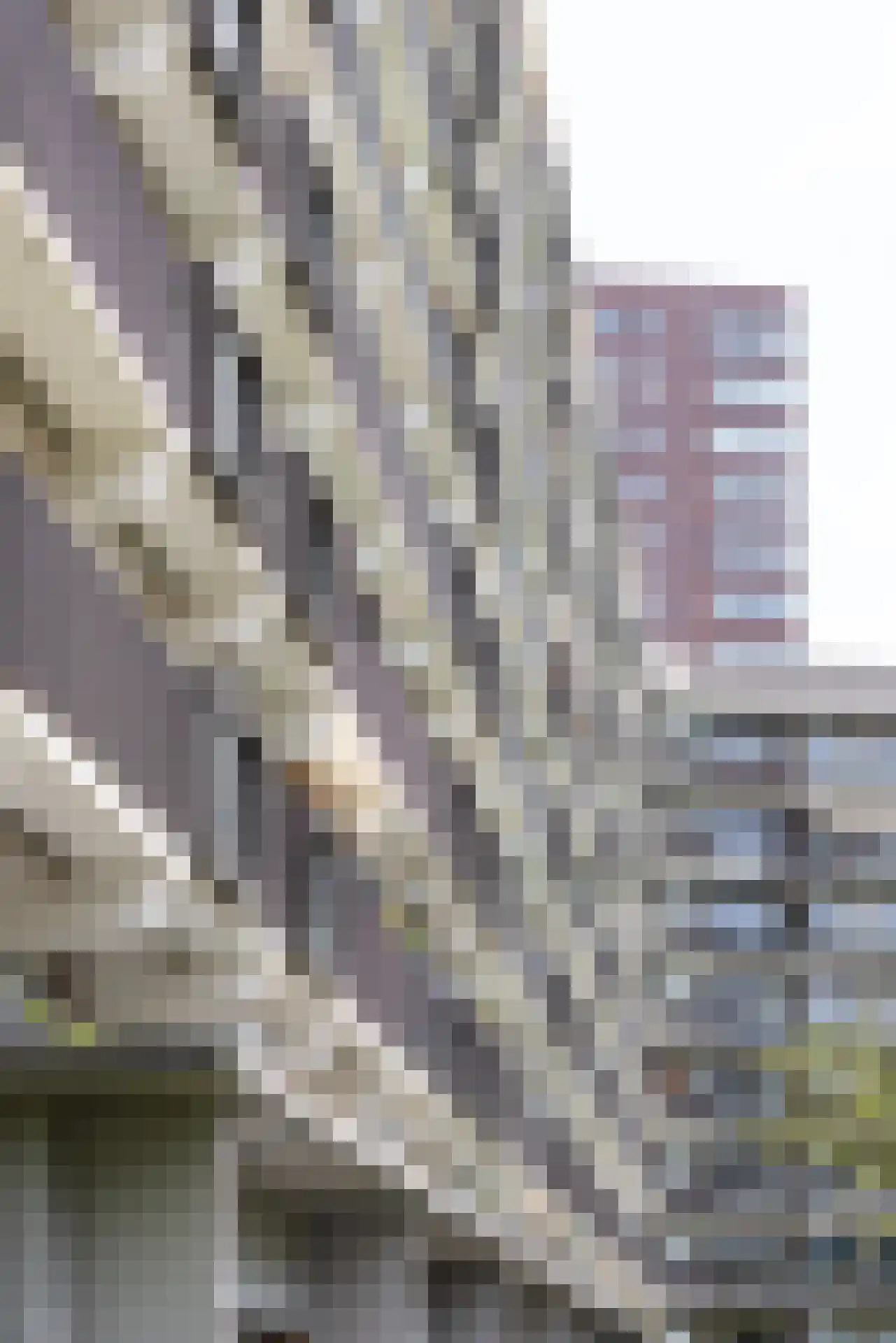 Niels Bohrplaats 664 Rotterdam thumbnail 28