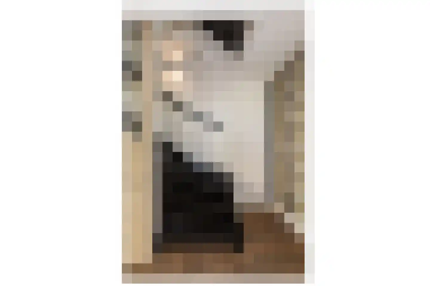 Niels Bohrstraat 54 Almere thumbnail 31