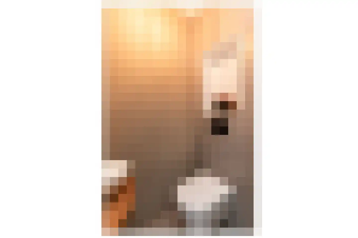 Niels Bohrstraat 54 Almere thumbnail 32