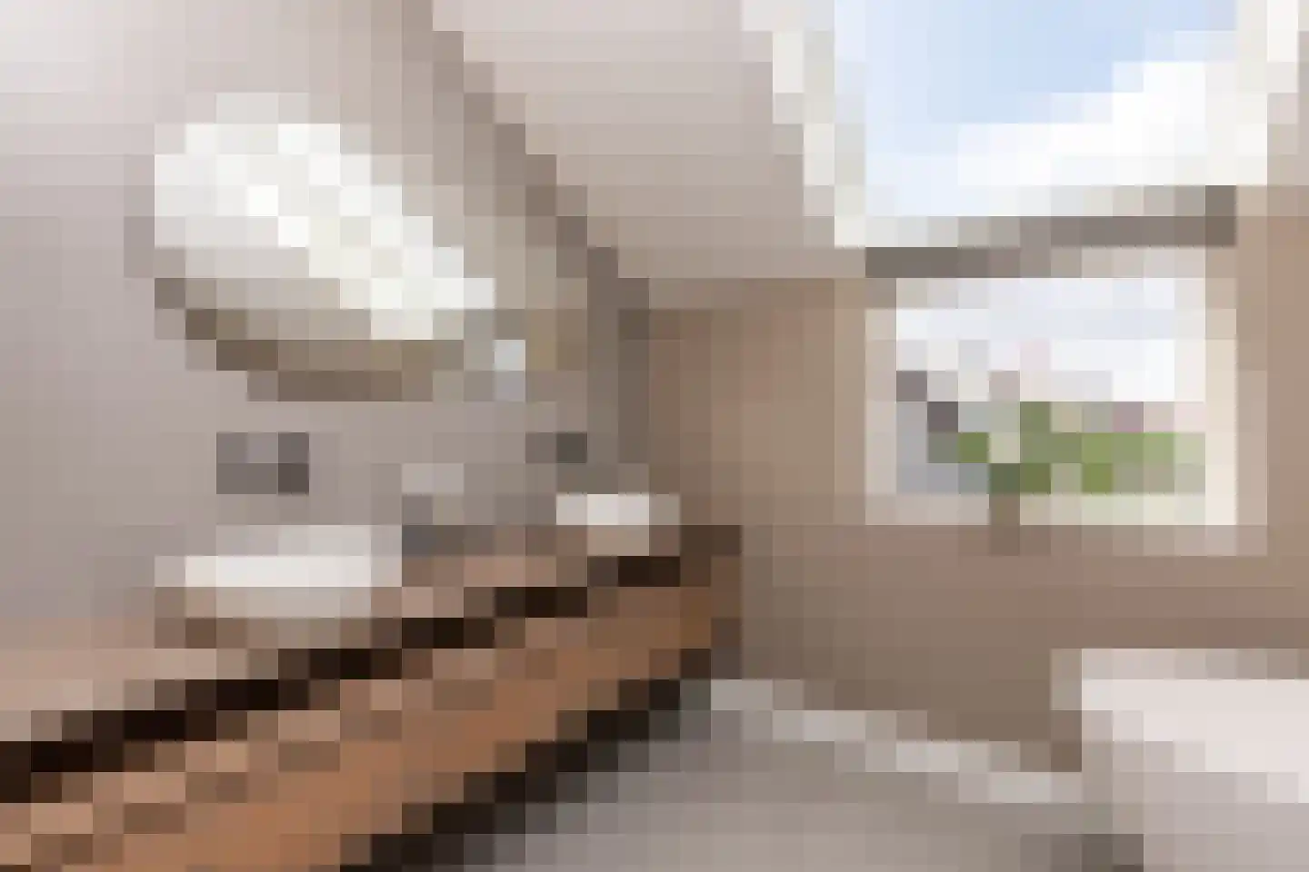 Niels Bohrstraat 54 Almere thumbnail 44