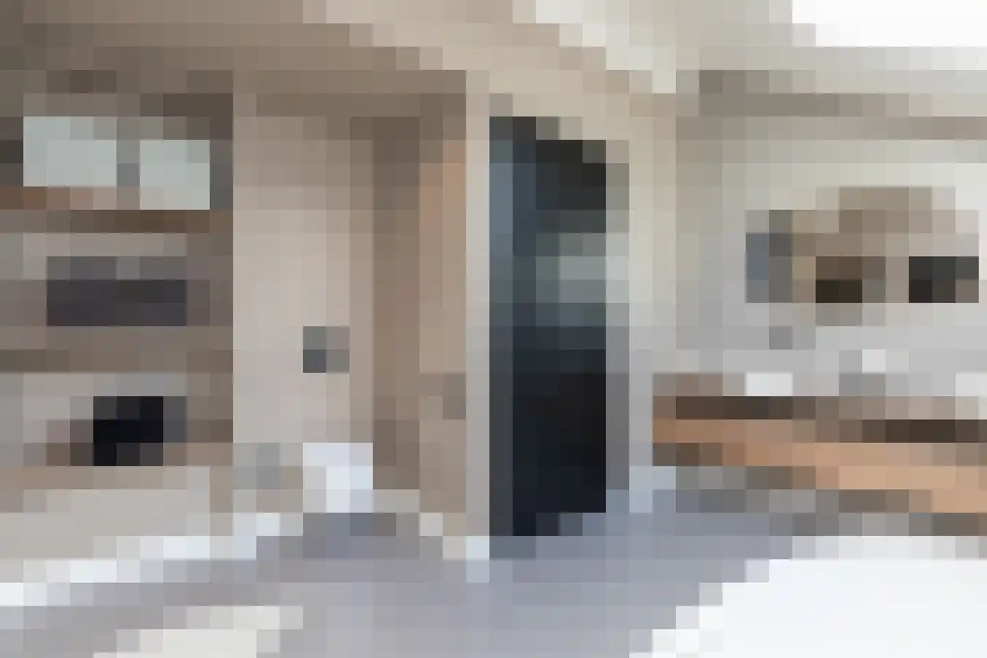 Niels Bohrstraat 54 Almere thumbnail 47