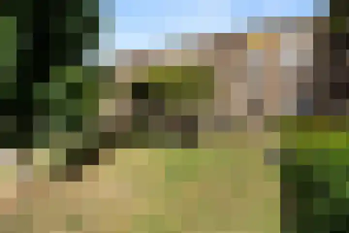 Niemeijerstraat 12 Wageningen thumbnail 4