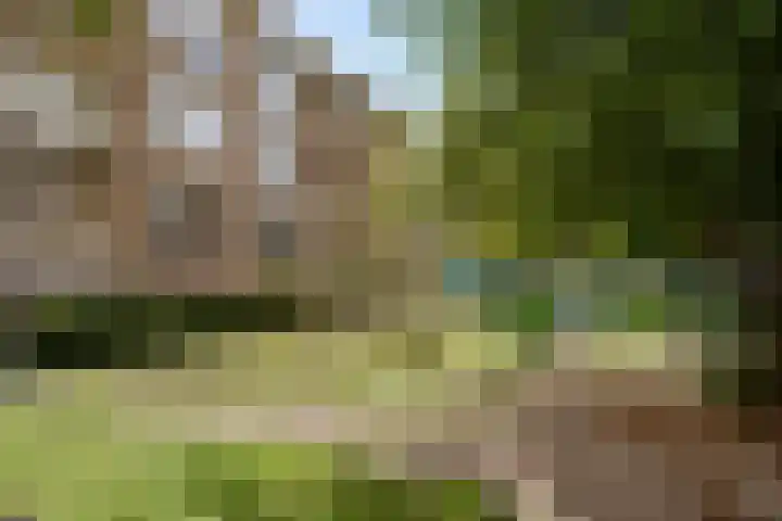 Niemeijerstraat 12 Wageningen thumbnail 5