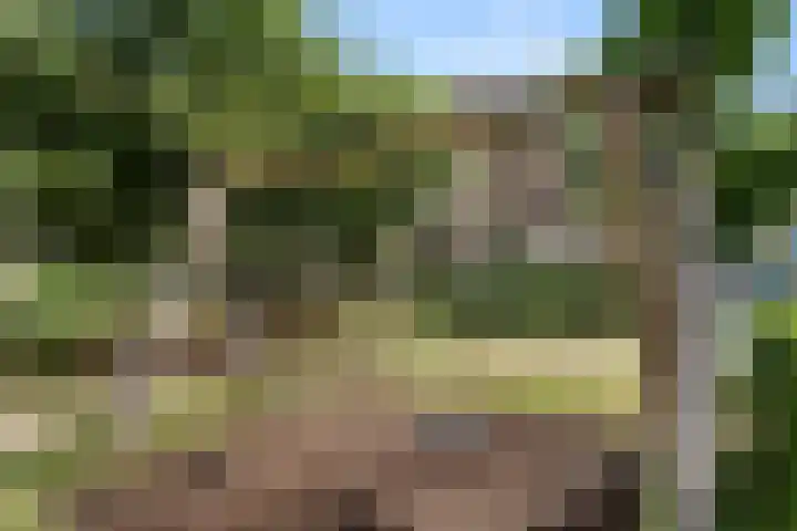 Niemeijerstraat 12 Wageningen thumbnail 6