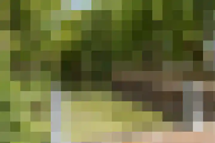 Niemeijerstraat 12 Wageningen thumbnail 7