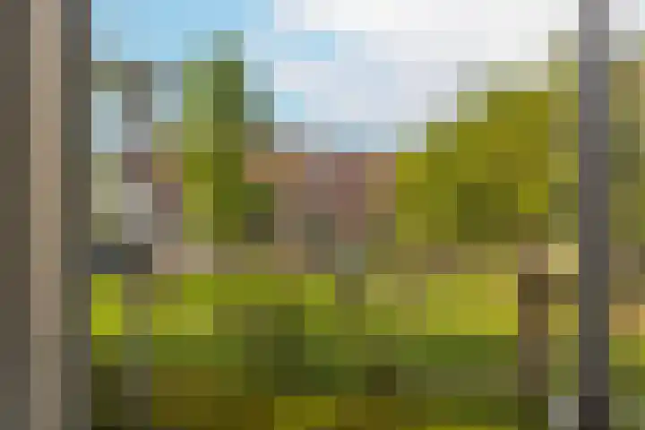 Niemeijerstraat 14 Wageningen thumbnail 4