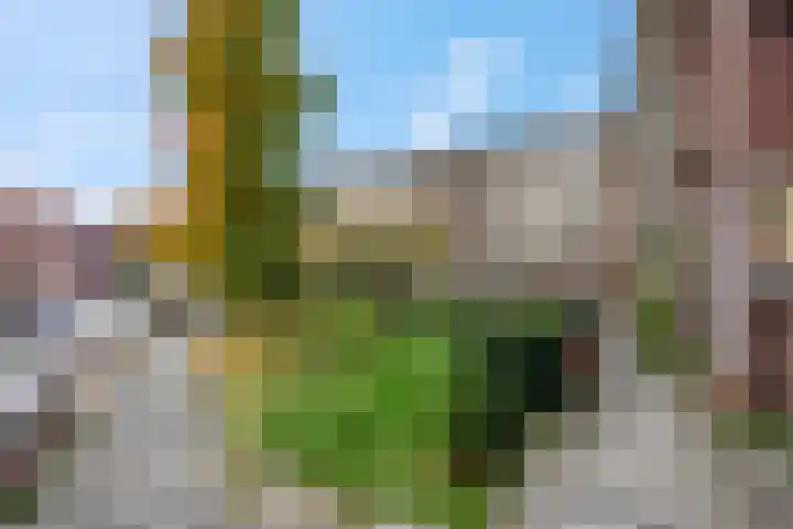Niemeijerstraat 22 II Wageningen thumbnail 33