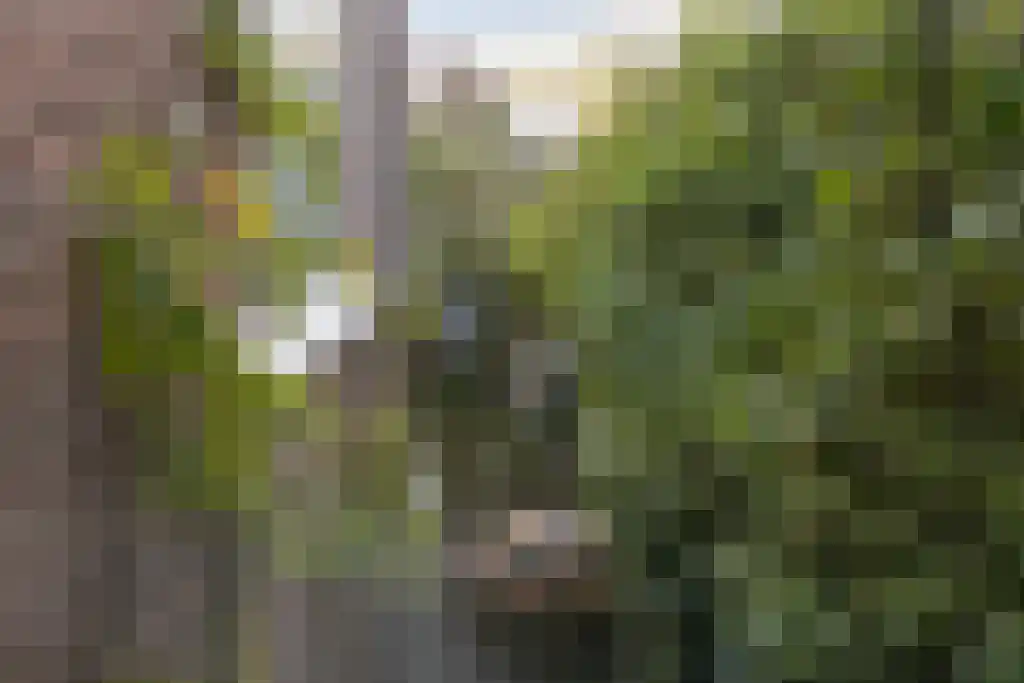 Niemeijerstraat 30 Wageningen thumbnail 30