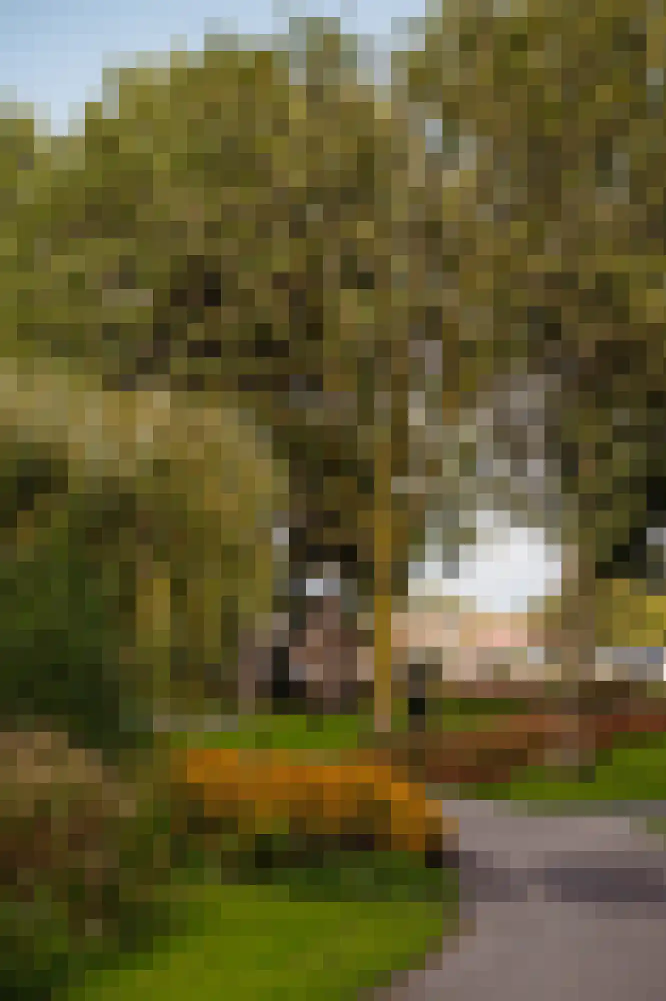 Niemeyerstraat 103 Hoofddorp thumbnail 28