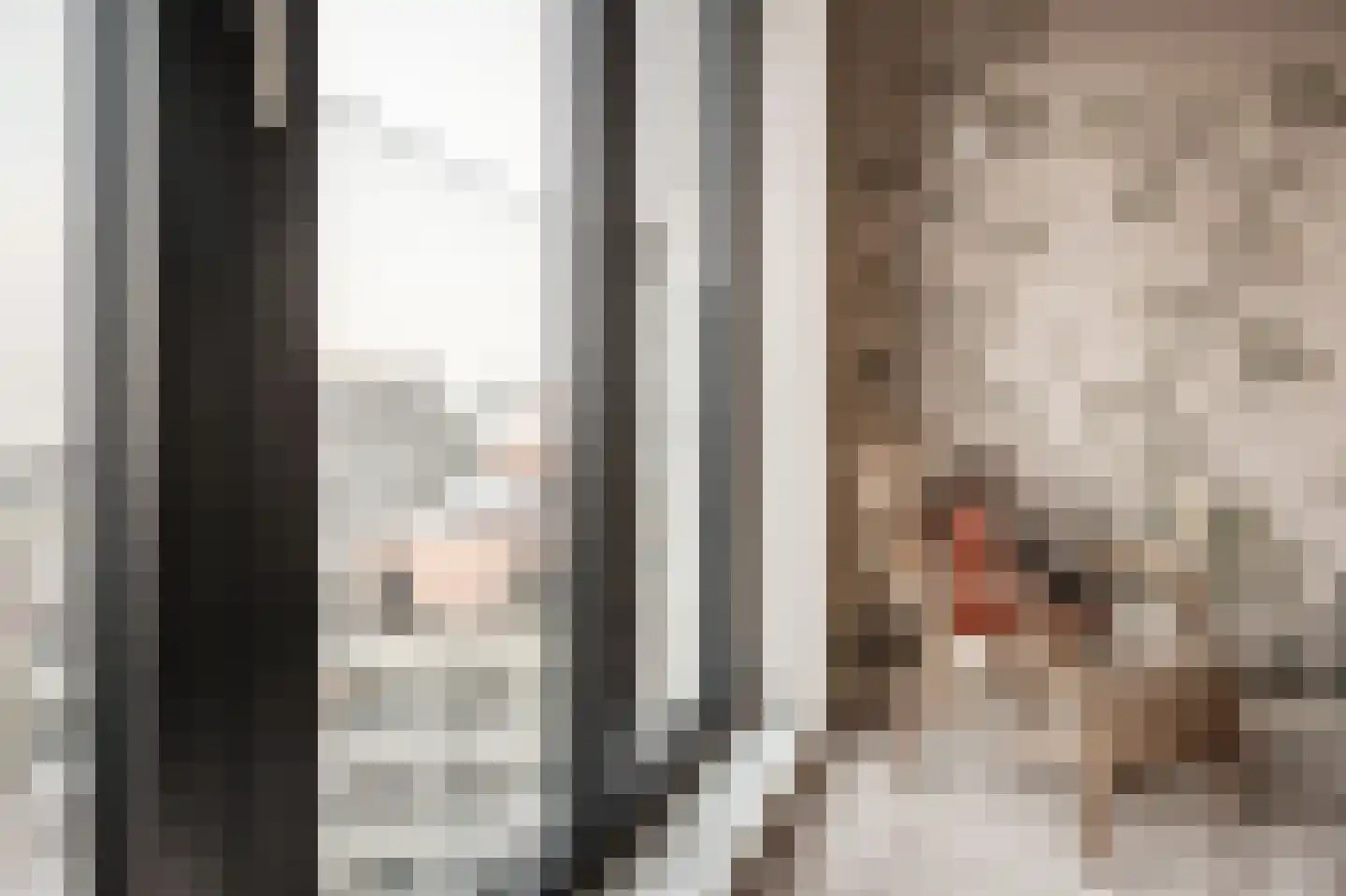 Niemeyerstraat 108 Hoofddorp thumbnail 20