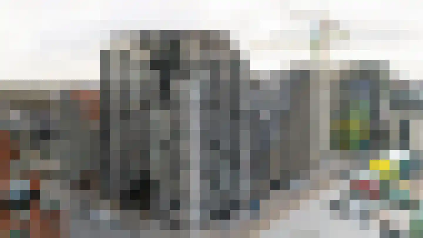 Niemeyerstraat 145 Hoofddorp thumbnail 7