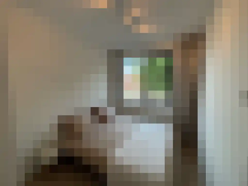 Niemeyerstraat 17 Hoofddorp thumbnail 6