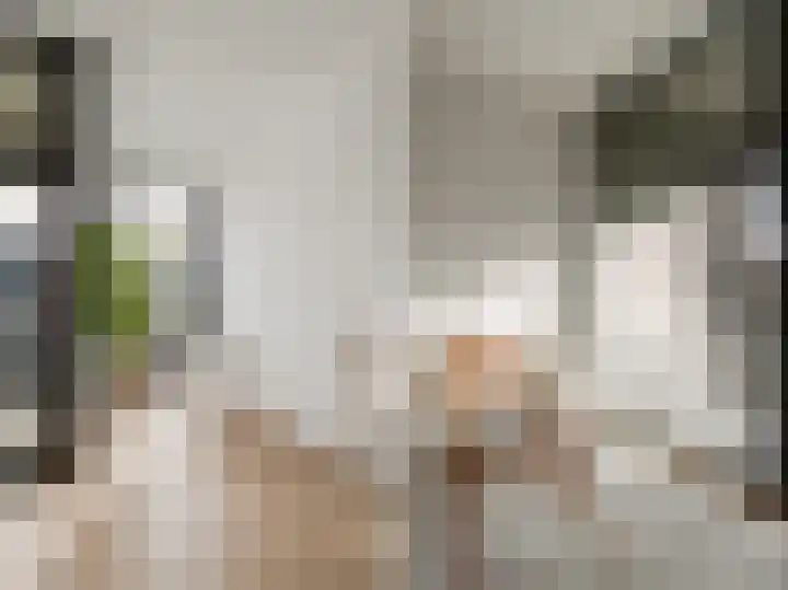 Niemeyerstraat 201 Hoofddorp thumbnail 15