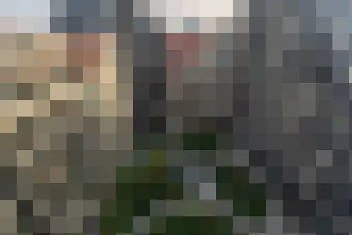 Niemeyerstraat 201 Hoofddorp thumbnail 32