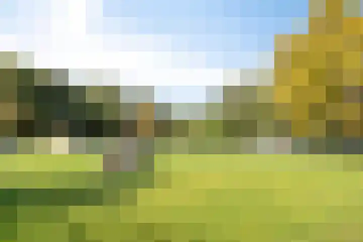 Niemeyerstraat 251 Hoofddorp thumbnail 27