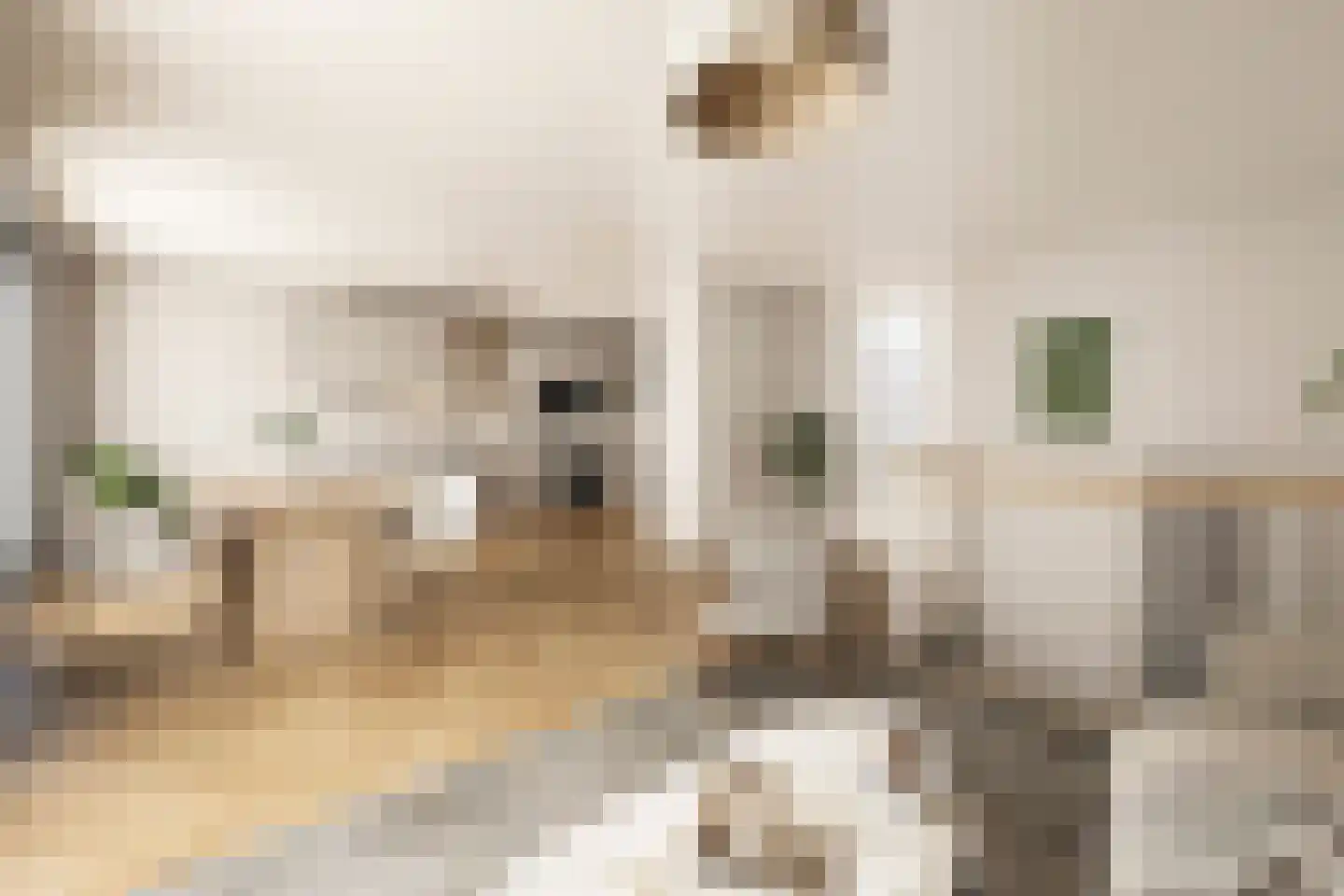 Niemeyerstraat 281 Hoofddorp thumbnail 29