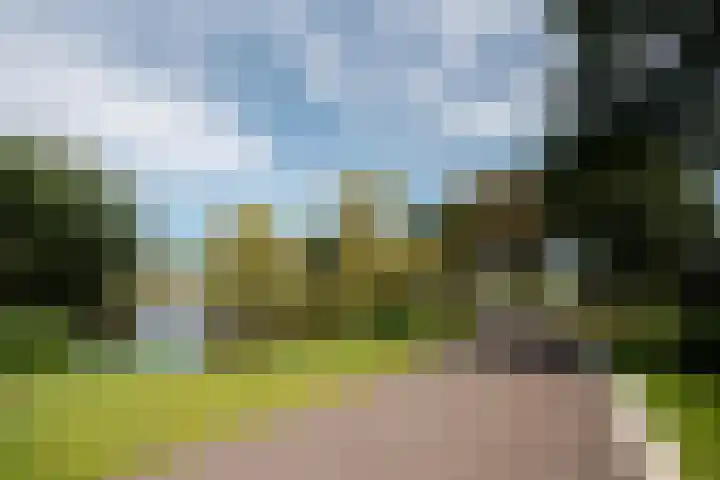 Niemeyerstraat 29 Hoofddorp thumbnail 34