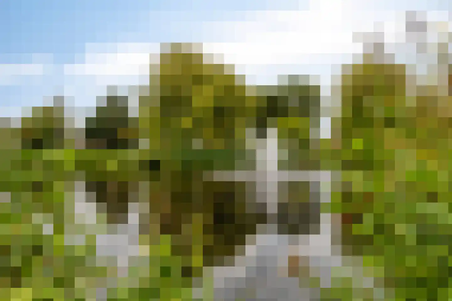 Niemeyerstraat 66 Hoofddorp thumbnail 25