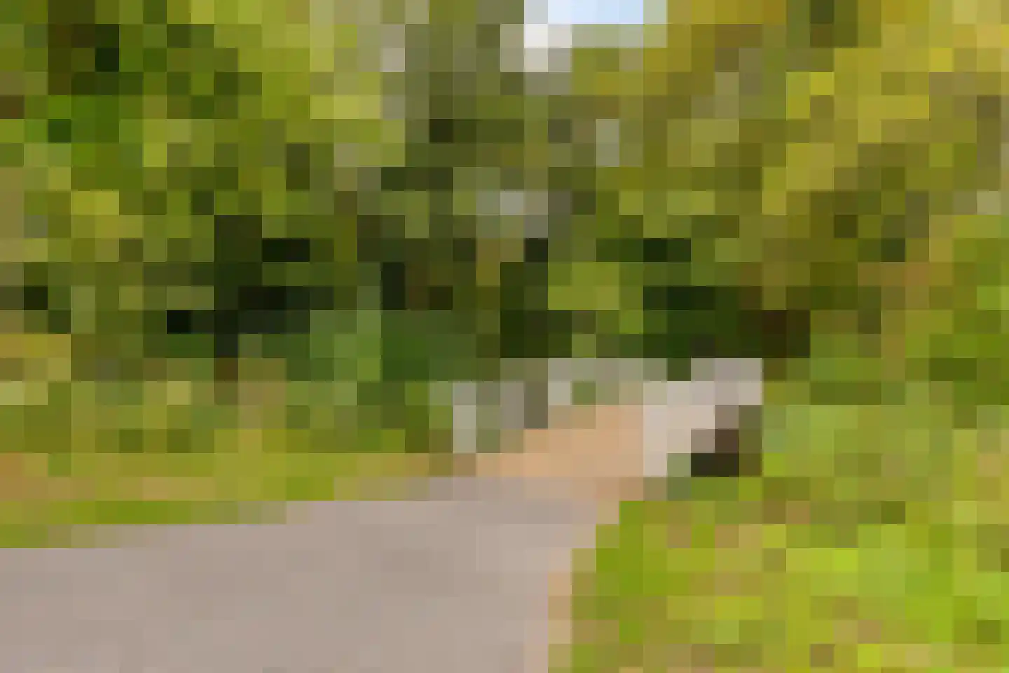 Niemeyerstraat 66 Hoofddorp thumbnail 27