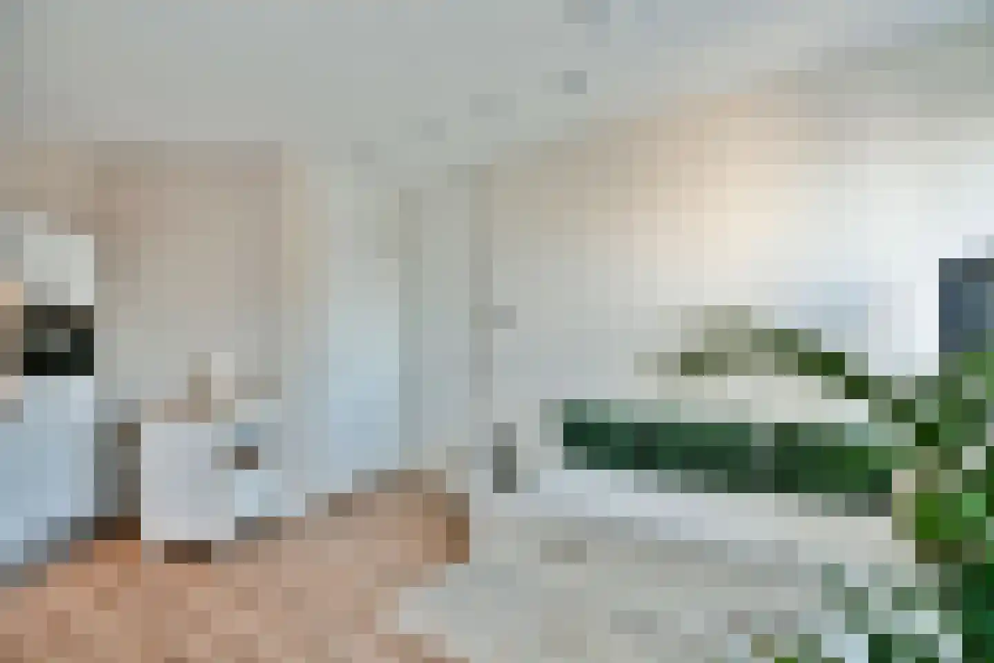 Niemeyerstraat 92 Hoofddorp thumbnail 24