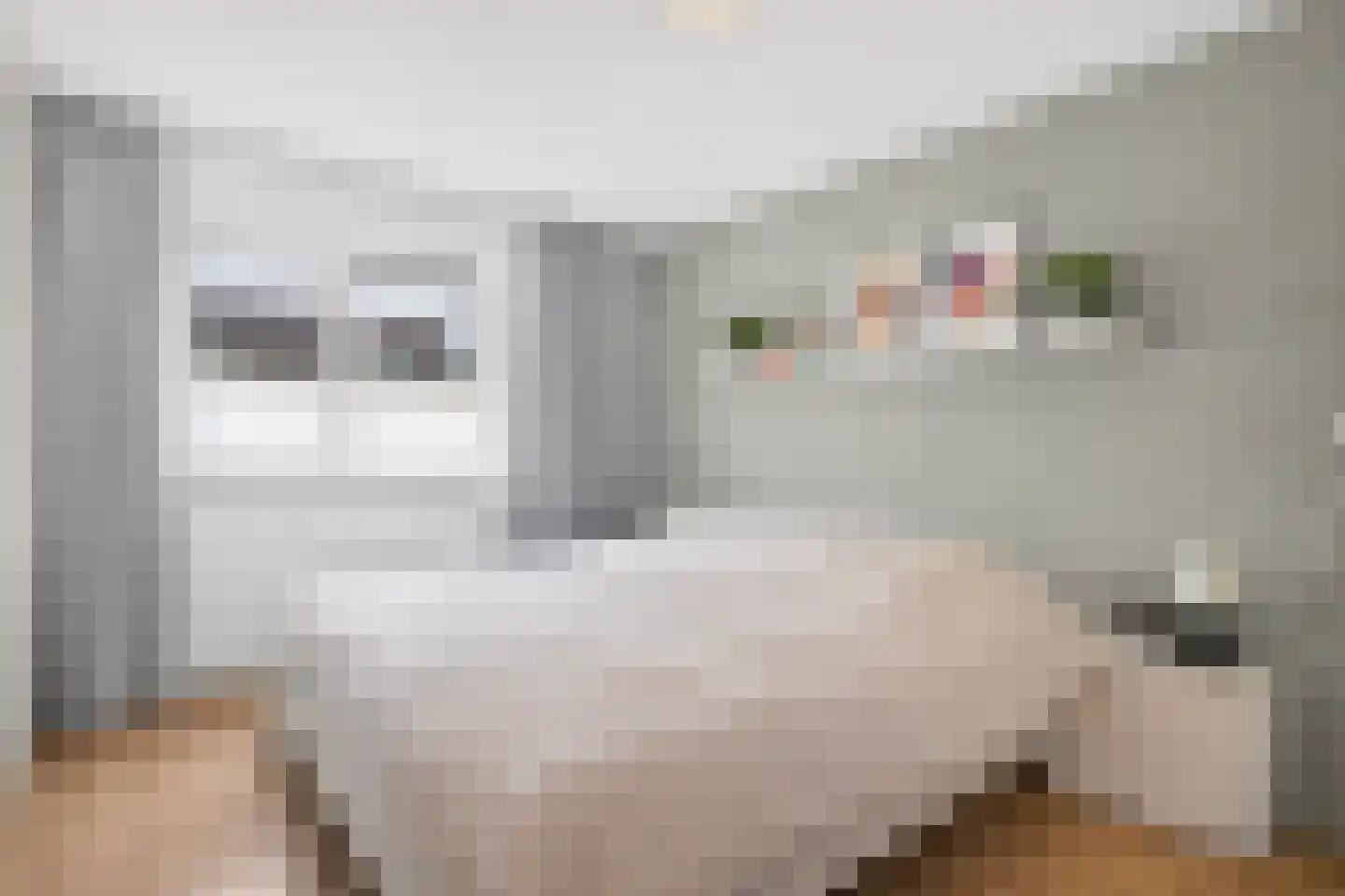 Nienhof 17 Ede thumbnail 17