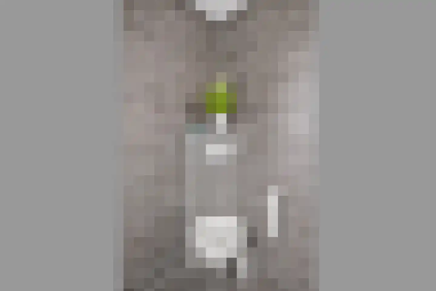 Nienhof 17 Ede thumbnail 29
