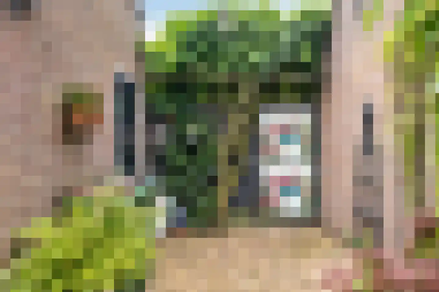 Nienhof 17 Ede thumbnail 39