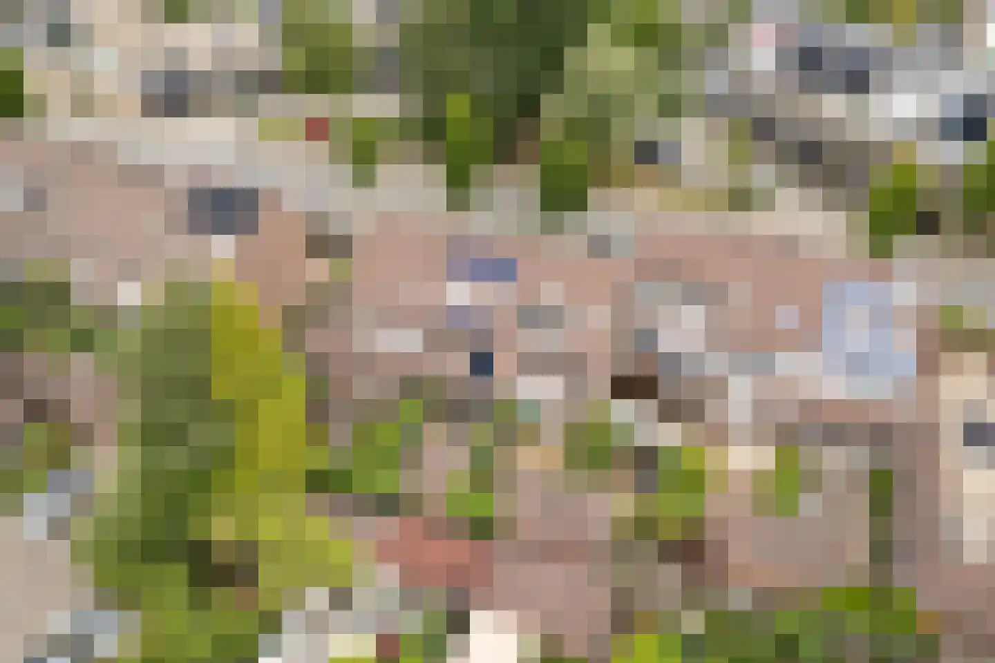 Nienhof 17 Ede thumbnail 48